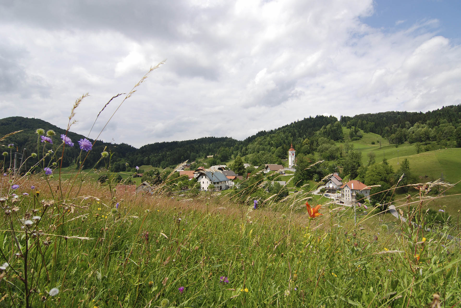 Ledine in levo zadaj Gradišče (998m)