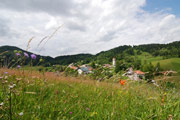 Pr' Jureč utrinek